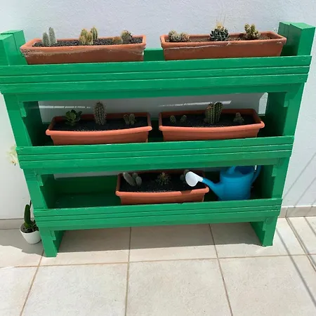 Sabbia Georgia Costa Teguise